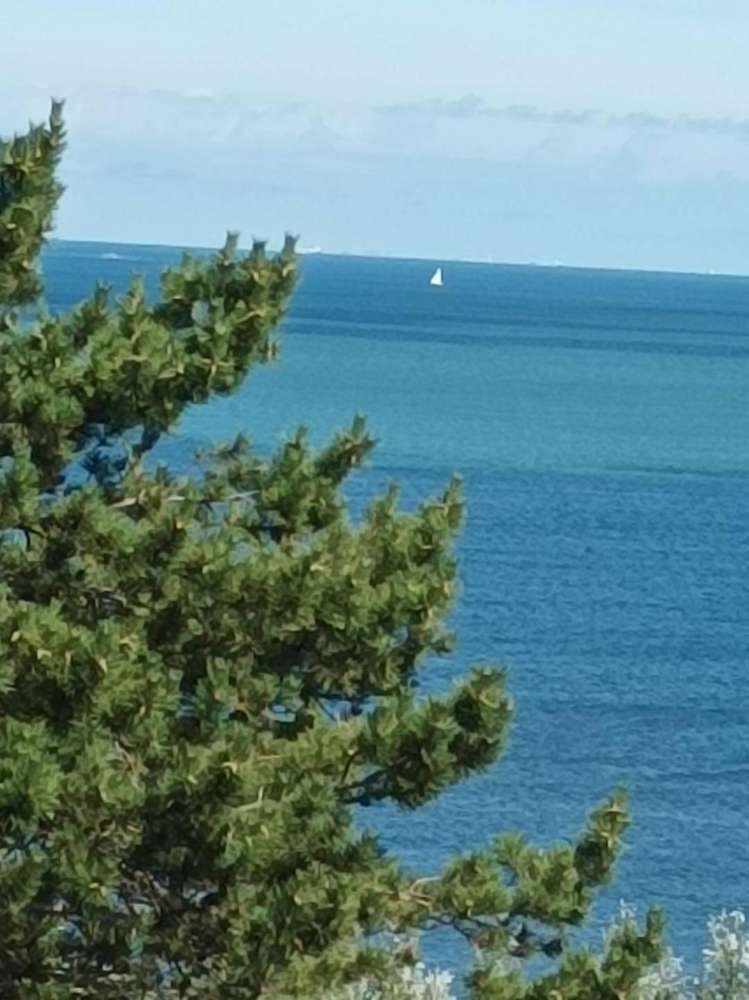 Le Cottage Vue Mer Bénerville-sur-Mer 外观 照片